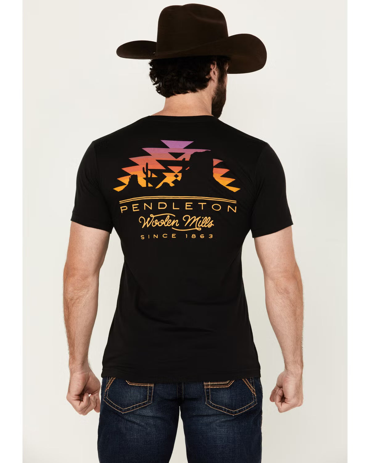 Pendleton Men's Desert Sunset Short Logo Sleeve Graphic T-Shirt