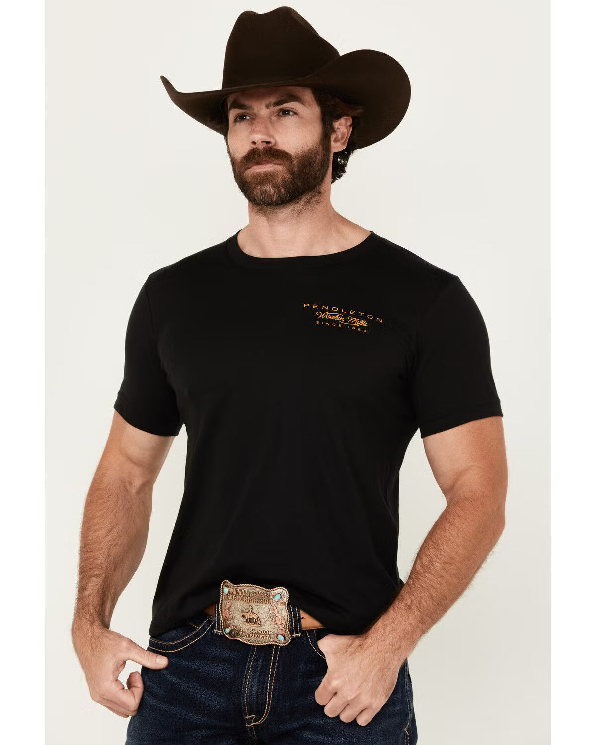 Pendleton Men's Desert Sunset Short Logo Sleeve Graphic T-Shirt