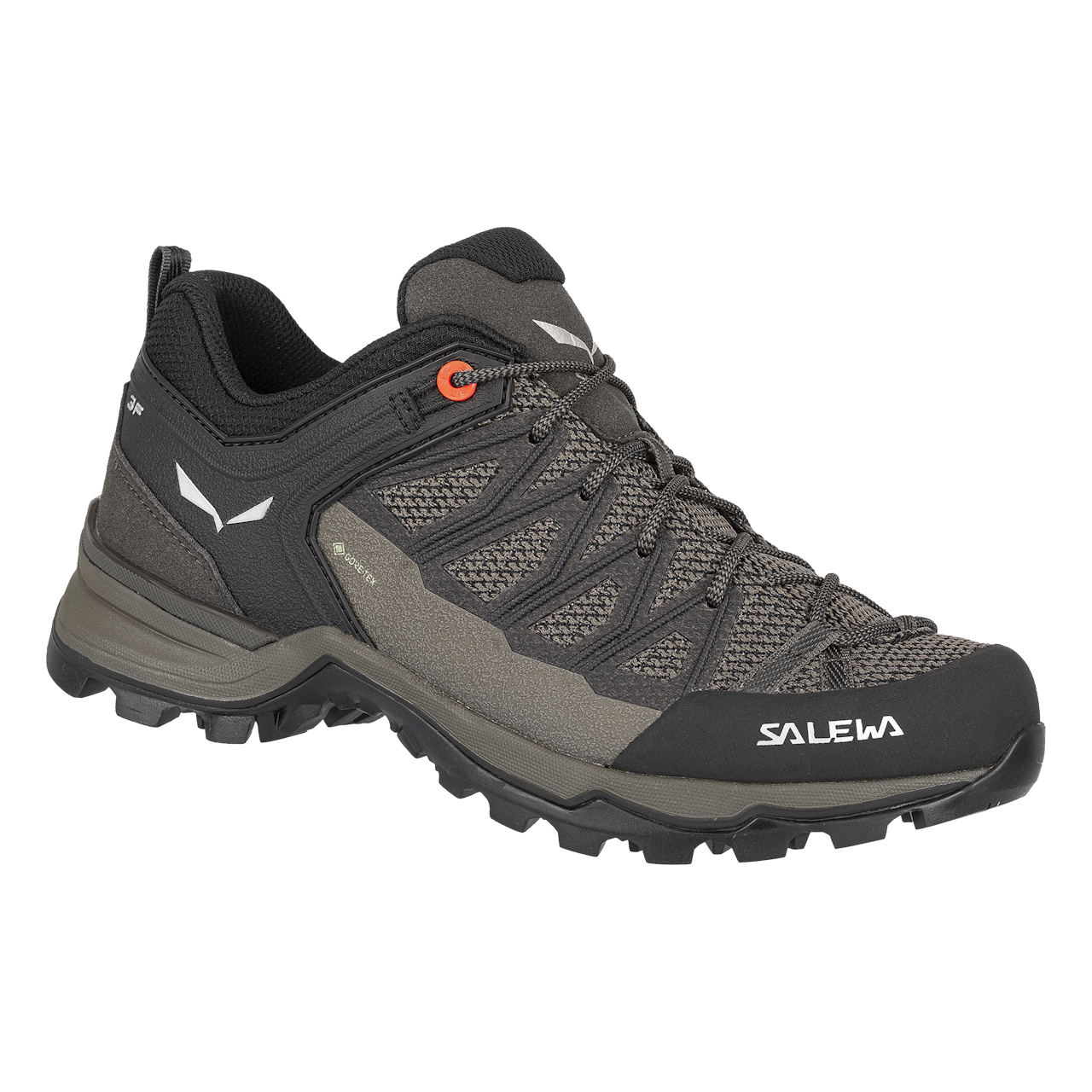 Salewa Mtn Trainer Lite Gtx Hiking Shoe Women's