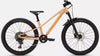 Specialized Riprock Comp 24