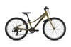 Giant Talon 24 Lite