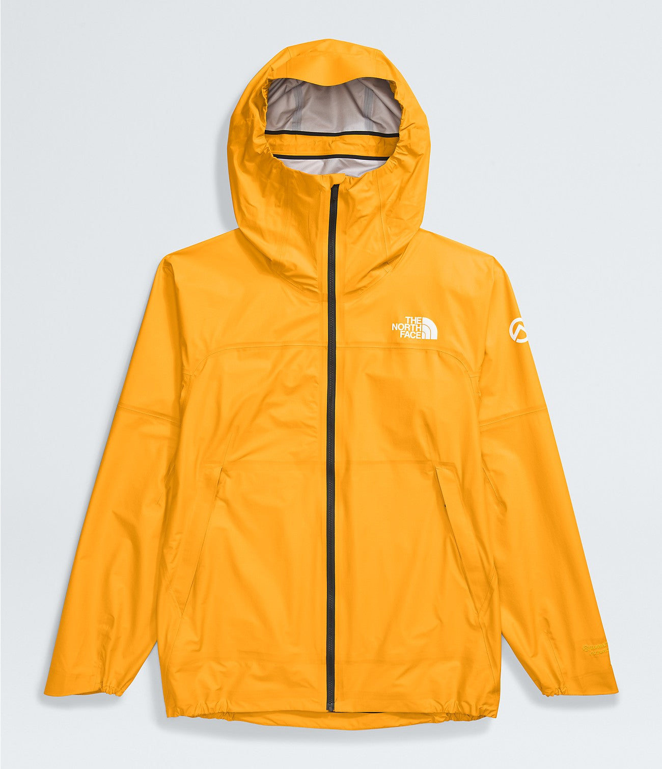 The North Face Summit Papsura Futurelight Jacket Men's