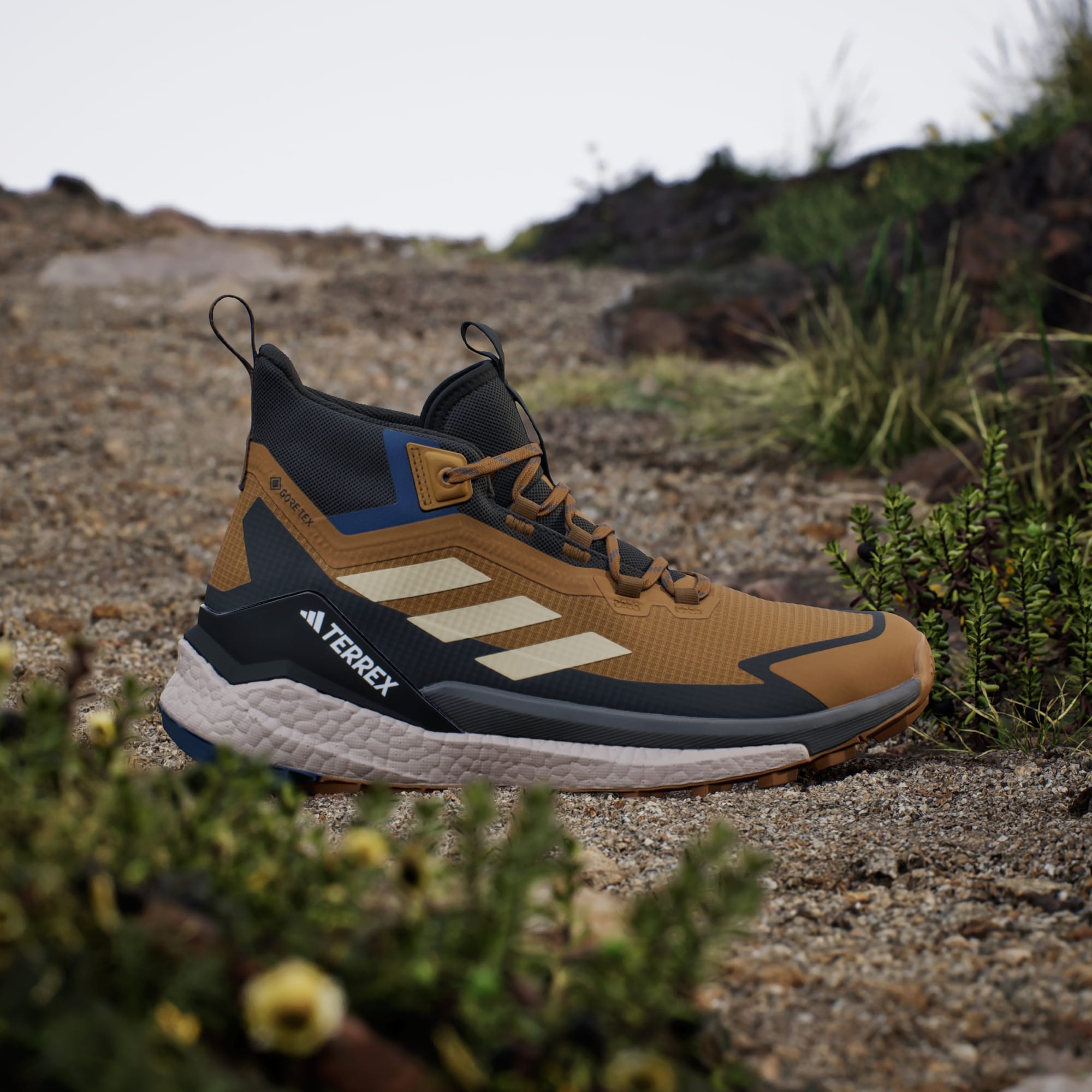 Terrex Free Hiker 2.0 Gore-Tex Hiking Shoes Men's