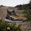 Terrex Free Hiker 2.0 Gore-Tex Hiking Shoes Men's