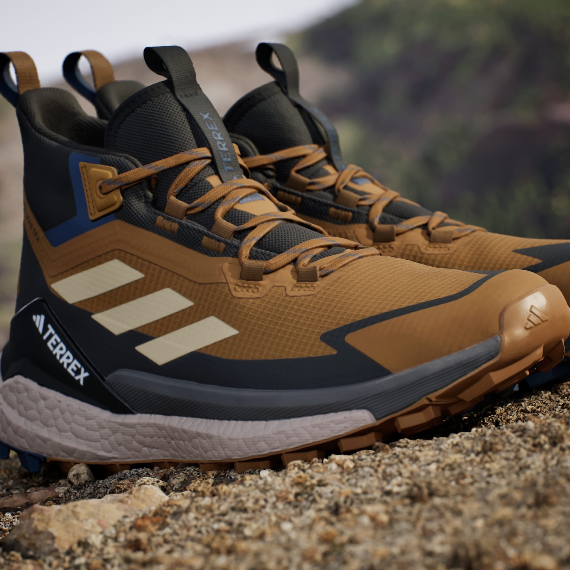 Terrex Free Hiker 2.0 Gore-Tex Hiking Shoes Men's