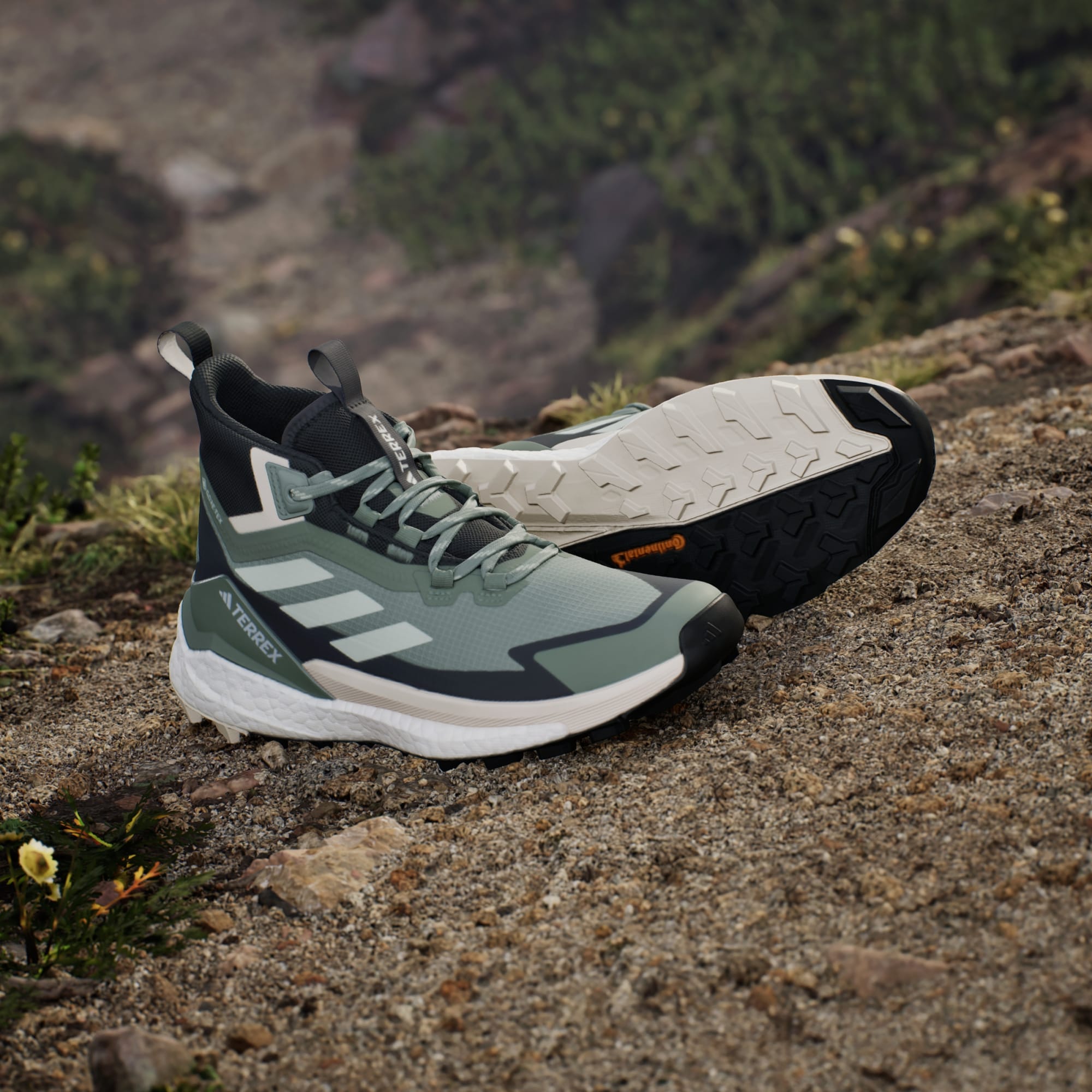 Terrex Free Hiker 2.0 Gore-Tex Hiking Shoe Women's