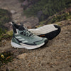 Terrex Free Hiker 2.0 Gore-Tex Hiking Shoe Women's