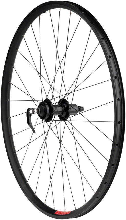 Sta-Tru Double Wall Rear Wheel - 29