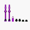 Muc-Off V2 Tubeless Valve Kit