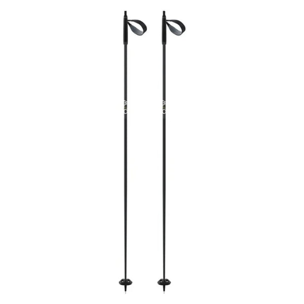 Fischer BC Offtrack Nordic Ski Poles
