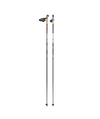 Salomon R 30 Click Nordic Poles