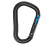 Black Diamond Rocklock Magnetron Carabiner - Ascent Outdoors LLC