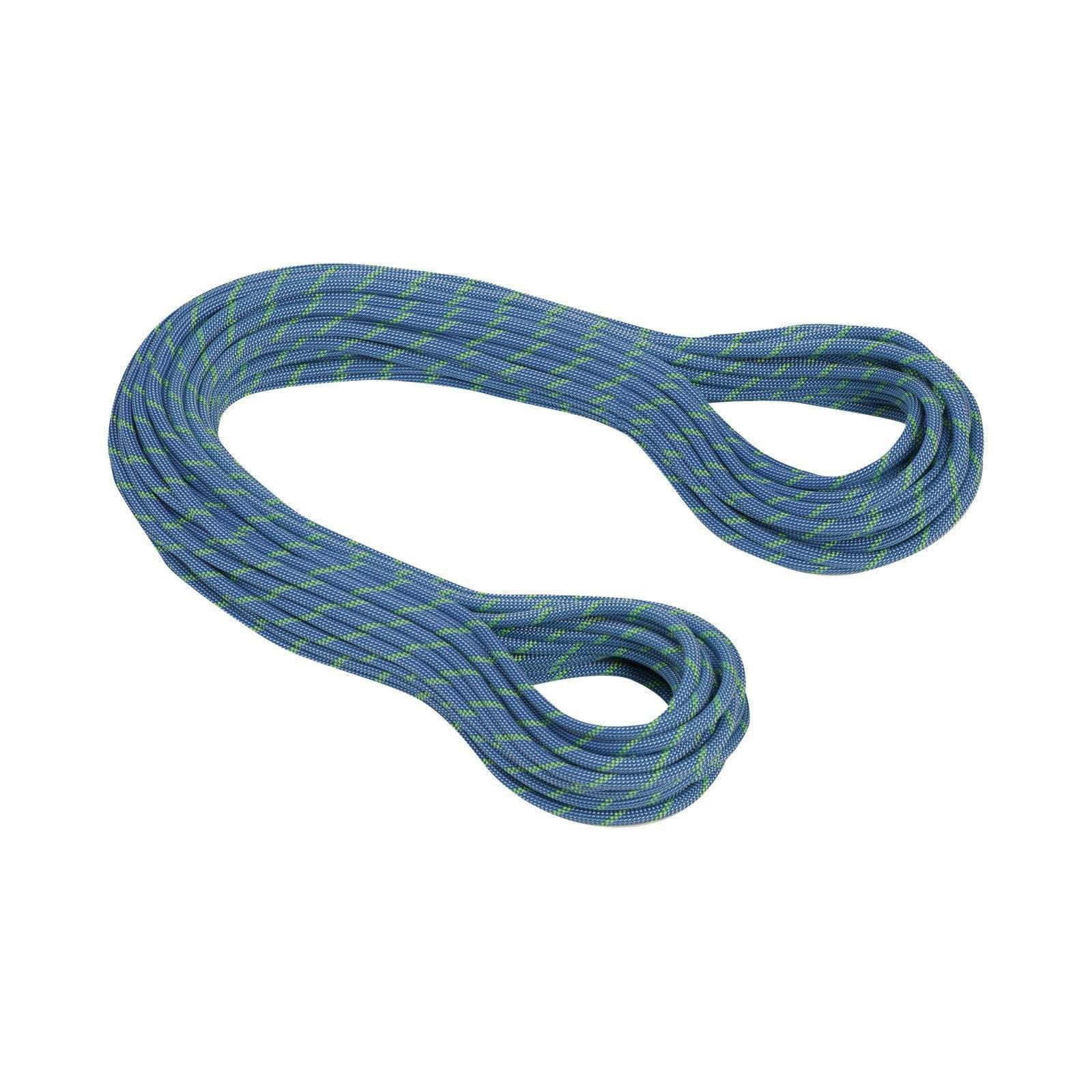 Mammut 7.5 TWILIGHT DRY Climbing Rope - Ascent Outdoors LLC