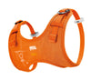 Petzl  MACCHU® Body Climbing Harness - Kids' - Ascent Outdoors LLC