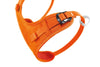 Petzl  MACCHU® Body Climbing Harness - Kids' - Ascent Outdoors LLC