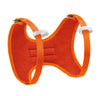 Petzl  MACCHU® Body Climbing Harness - Kids' - Ascent Outdoors LLC