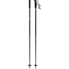 Atomic AMT SQS Ski Poles