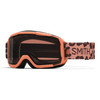 Smith Daredevil Kid's Goggles