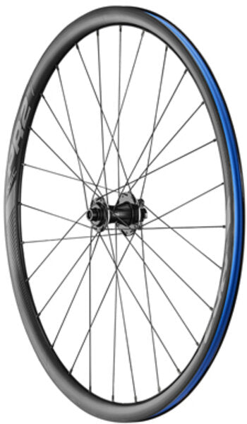 Giant P-R2 Disc Wheel FT